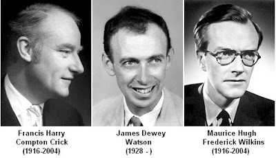 Crick Watson Wilkins Nobel Laureates